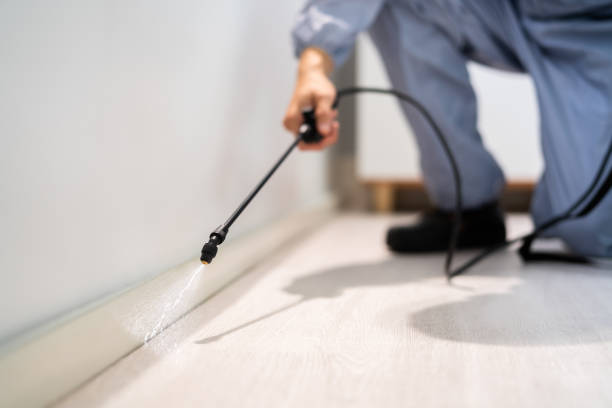 Licensed Pest Control service in Cottonwood, ID - Show Me Pest Control